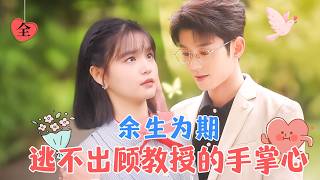 腹黑冰山教授與逗比女研究生的愛情碰撞