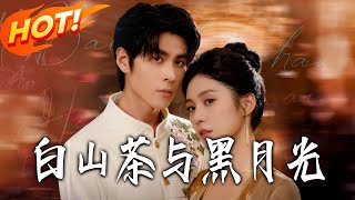 白山茶与黑月光