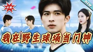 我在野生球场当门神