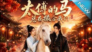 The Tutor's Horse Always Plays Matchmaker
