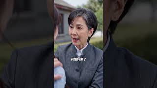 泼辣婆婆的护媳手册