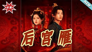 Swan Goose in the Harem