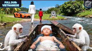 重生：私生子的复仇