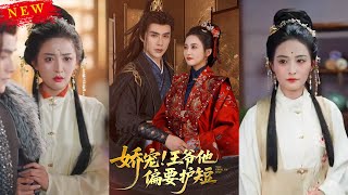 《娇宠!王爷他偏要护短》