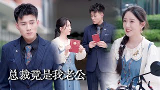 The CEO Is My Husband!