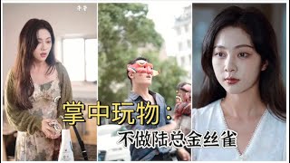 掌中玩物：不做陸縂金絲雀