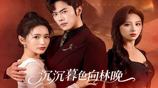 沉沉暮色向林晚