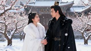 带儿改嫁后，我凭智谋成王爷心尖人