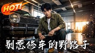 Don't Mess With the Undercover Mechanic