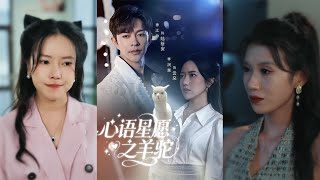 Heartfelt Star Wishes: The Alpaca's Secret