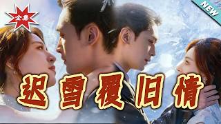 【大结局完整版】《迟雪覆旧情》第1~62集