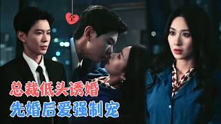 Drunken Mistake: My Stoic Brother-in-Law Turned Into a Clingy Wife Protector