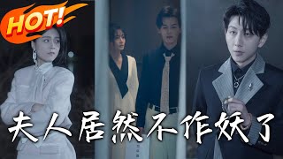 夫人居然不作妖了