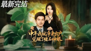 中年我被淨身出戶覺醒了賭石神眼