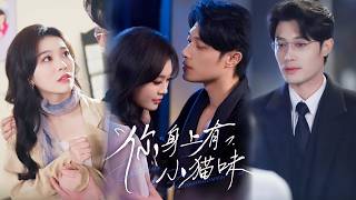 你身上有小猫味