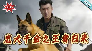 忠犬千金之王者歸來