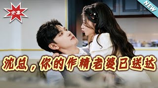 沈总，你的作精老婆已送达