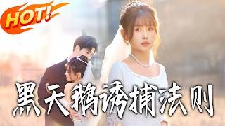 黑天鹅诱捕法则