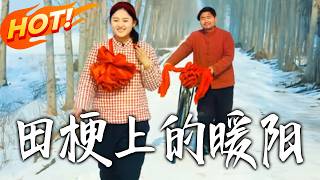 Warm Sunshine on the Field Ridge