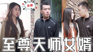 至尊天師女婿