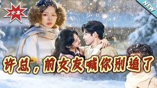 许总，前女友喊你别追了