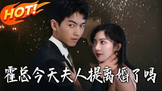 Mr. Huo, Did Madam Ask for Divorce Today?