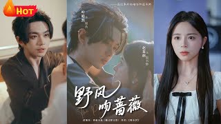 《野風吻薔薇》