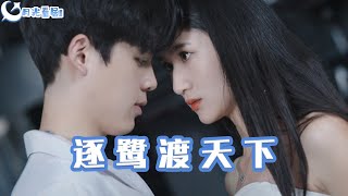 逐鷺渡天下