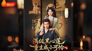 满级黑心莲重生成小可怜