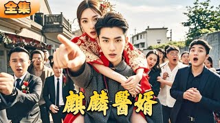 麒麟毉婿