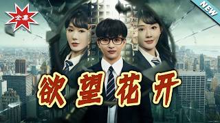 【大结局完整版】《欲望花开》第1~80集