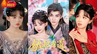 The Curse of Reincarnation: Bewitching Concubine