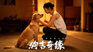 Dog Language Romance