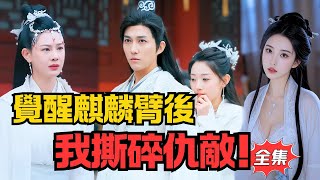 丨《麒麟臂》
