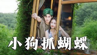 秘密小狗抓蝴蝶