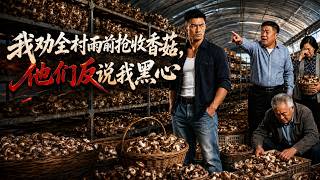 我劝全村雨前抢收香菇，他们反说我黑心