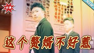 这个赘婿不好惹