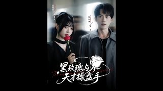 黑玫瑰与天才操盘手