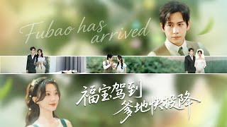 福宝驾到：爸爸快投降