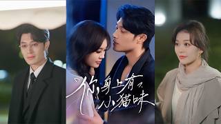 你身上有小猫味