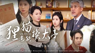 狸猫焉能换太子：复仇的重启