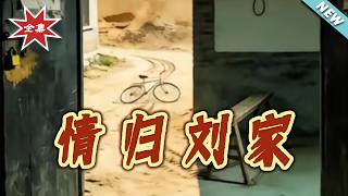 Love Returns to the Liu Household