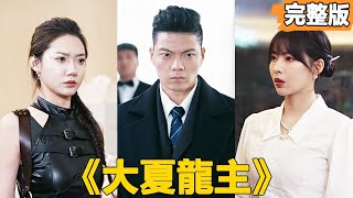 大夏龍主：逆襲人生