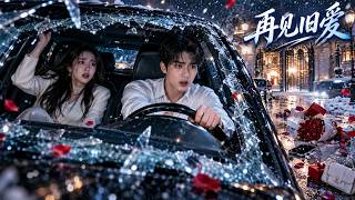 双重生离婚路：重逢悔局