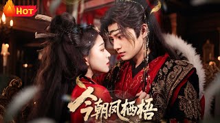 《今朝凤栖梧》