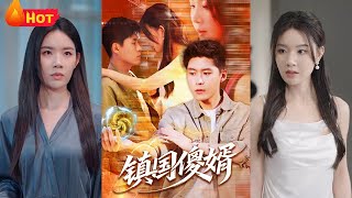 镇国傻婿