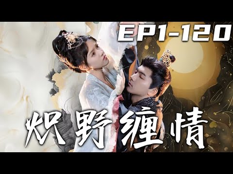 炽野缠情