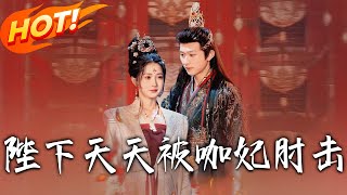 陛下天天被咖妃肘击
