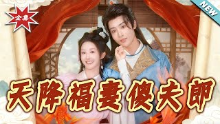 天降福妻傻夫郎