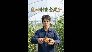 良心种出金果子